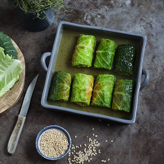 Savoy cabbage-pumpkin rolls