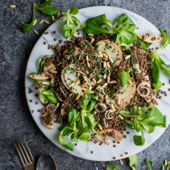 Lentil Apple Salad