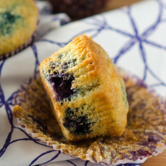 Blueberry Muffins