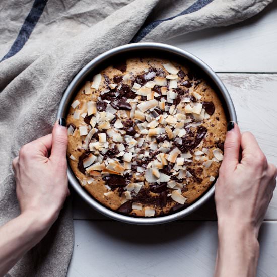 Dark Chocolate + Coconut Cake