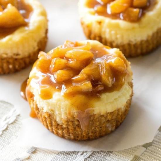 Mini Caramel Apple Cheesecakes
