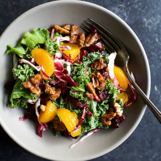 Mandarin Orange Cranberry Kale Sala