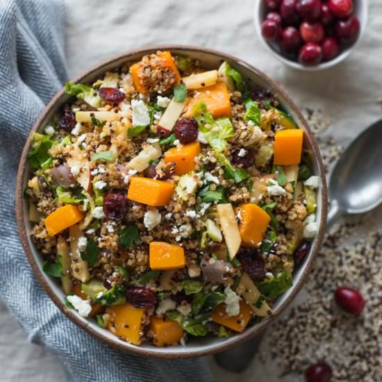 Fall Harvest Quinoa Salad