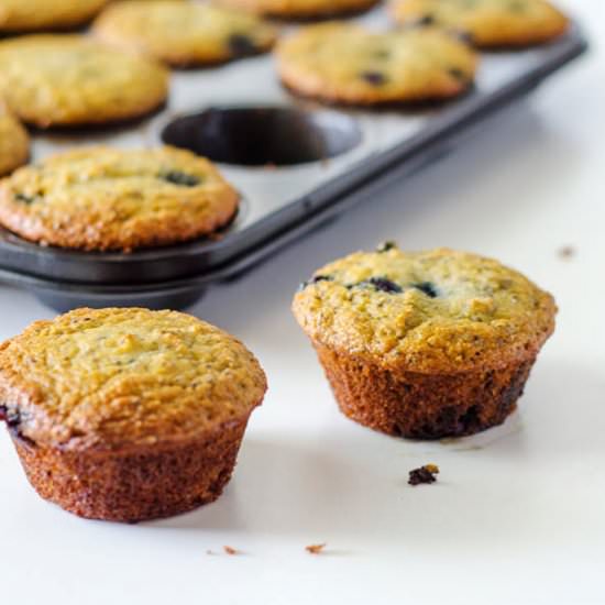 Coconut Chia Blueberry Muffins
