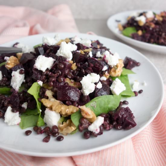 Beetroot Goats Cheese Lentil Salad
