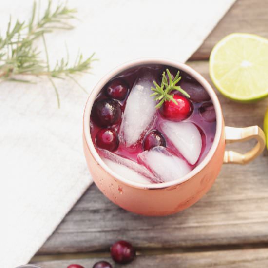 CRANBERRY MOSCOW MULE