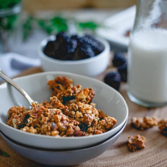 Paleo Gingerbread Granola