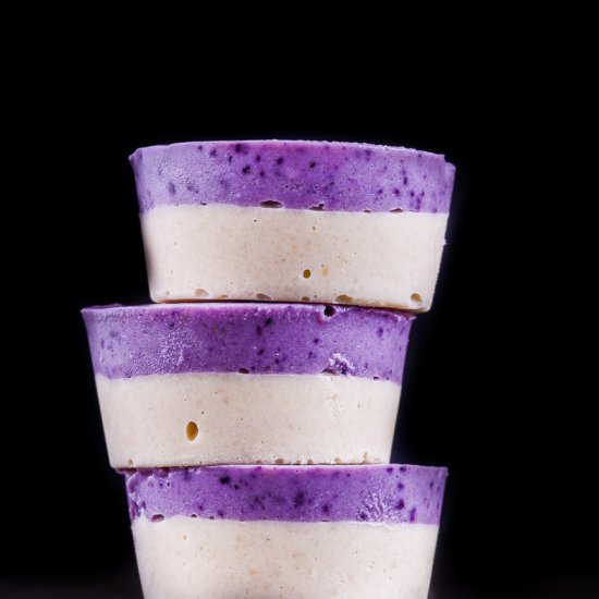 Vanilla and Blueberry Fudge
