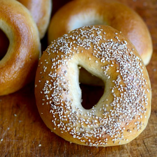 Sourdough Bagels
