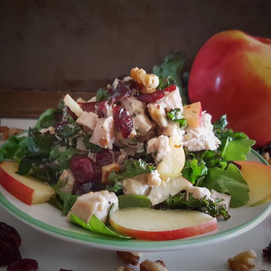 Fall Turkey Salad