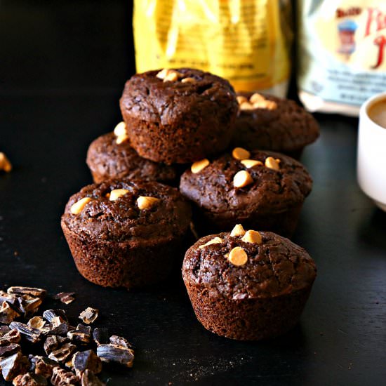 Carob Oat Flour Muffins