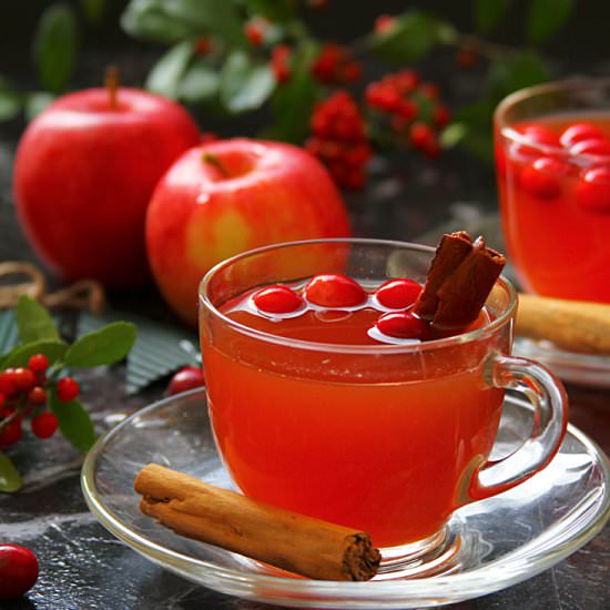 MULLED APPLE CIDER WITH CRANBERRIES