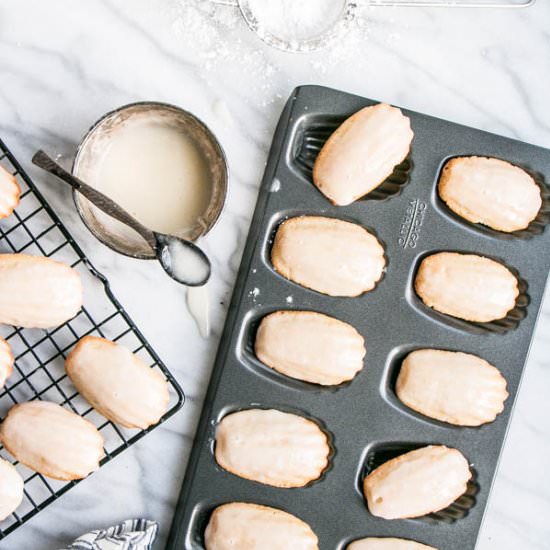 Eggnog Madeleines