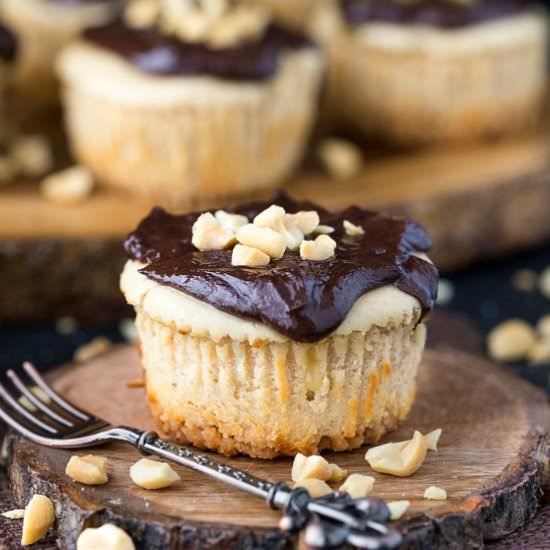 Mini Peanut Butter Cheesecakes