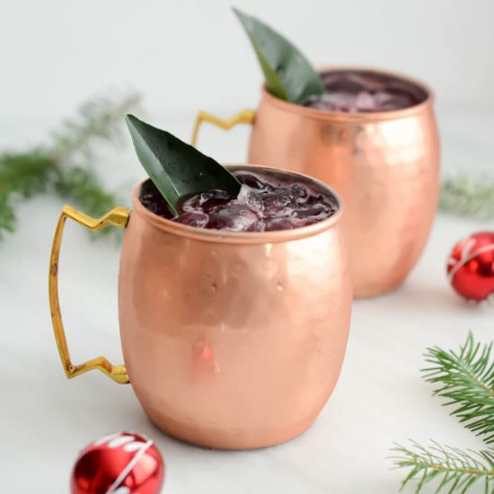 Cranberry Ginger Mule