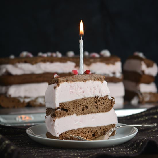Peppermint Brownie Ice Cream Cake