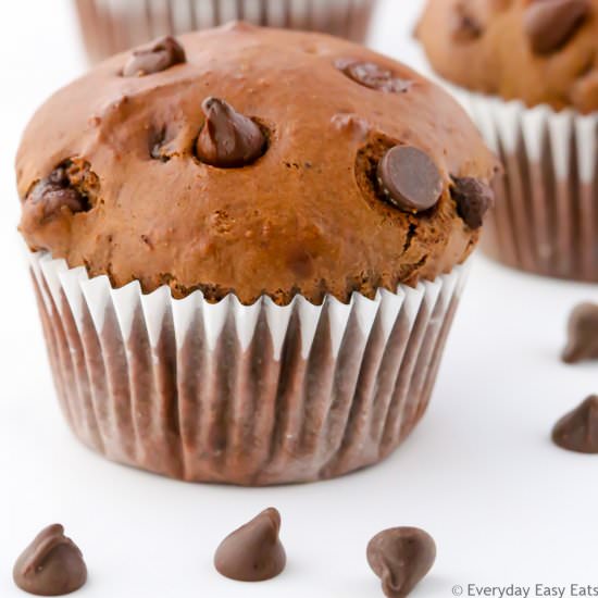 Double Chocolate Muffins