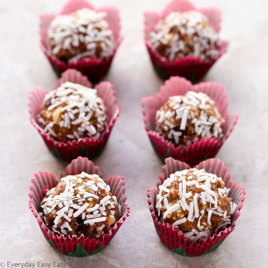 Cranberry Coconut Snack Bites