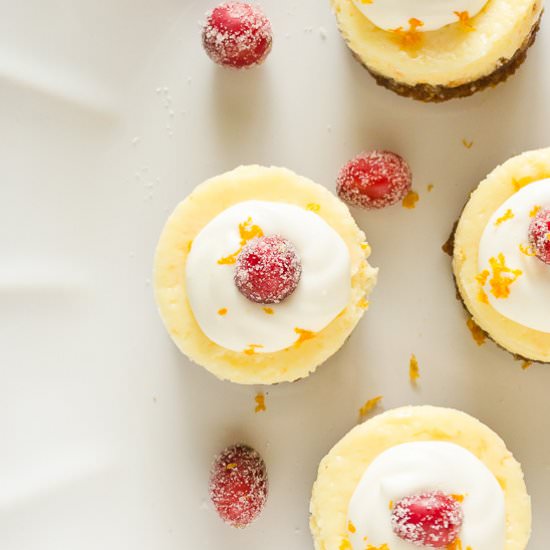 Mini Cranberry Orange Cheesecakes