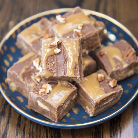 Turtle Fudge