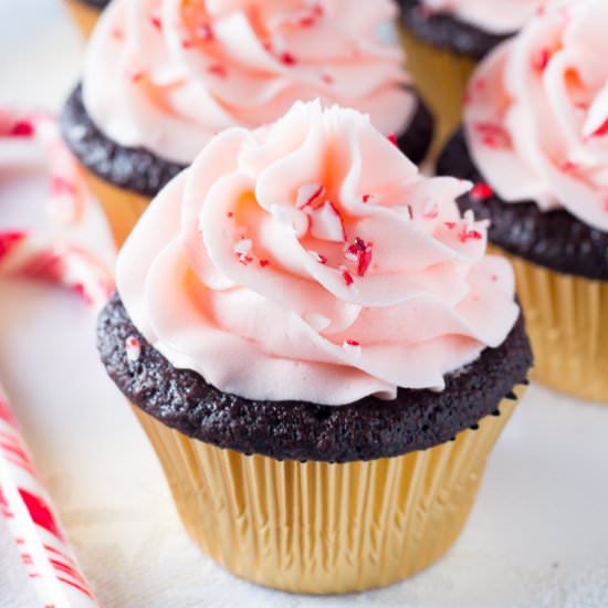 Candy Cane Chocolate Cupcakes