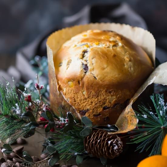 Chocolate Orange Panettone