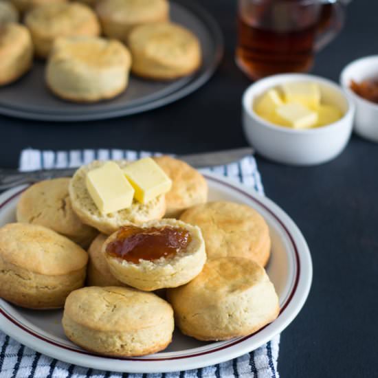 Biscuit