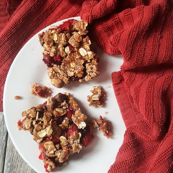 Chocolate Cranberry Oat Bars