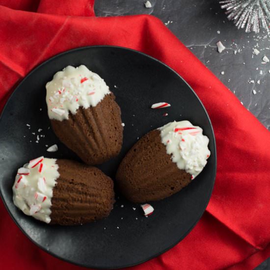 Peppermint Chocolate Madeleines
