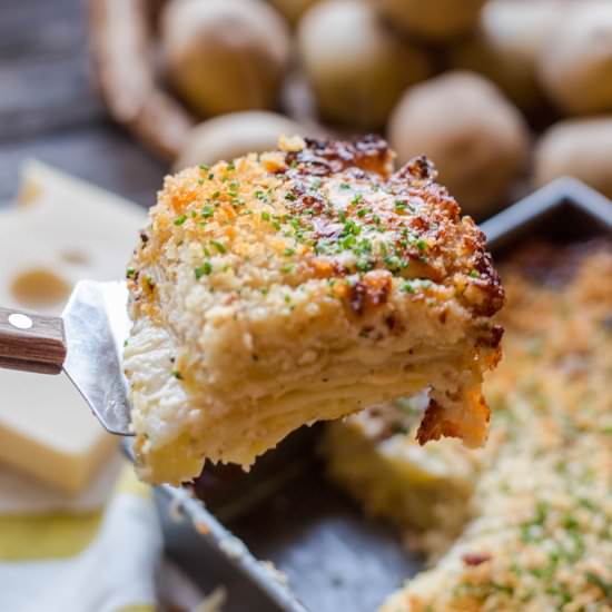 Classic Potato Gratin