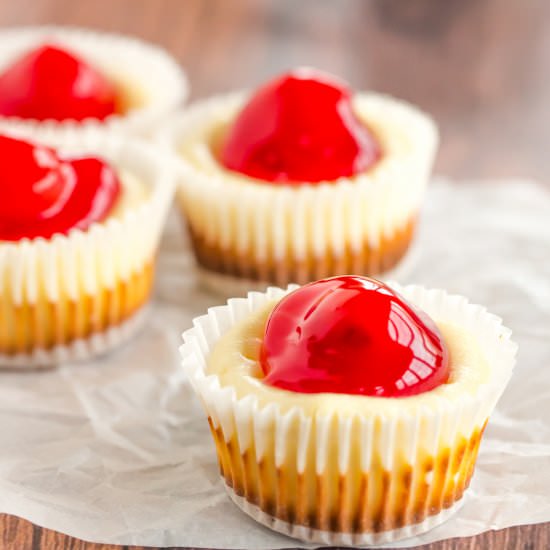 Mini Cheesecakes