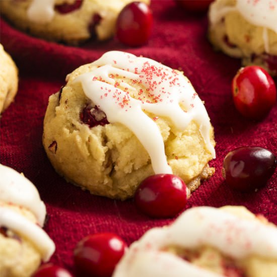 Fresh Cranberry Cookies