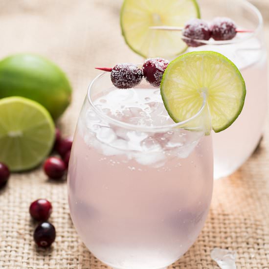 Lime Cranberry Mocktail