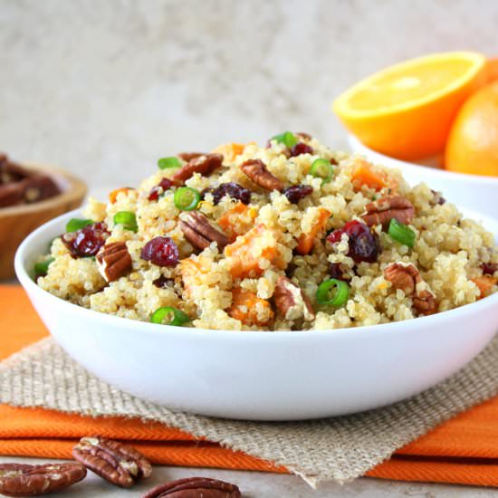 Cranberry Sweet Potato Quinoa