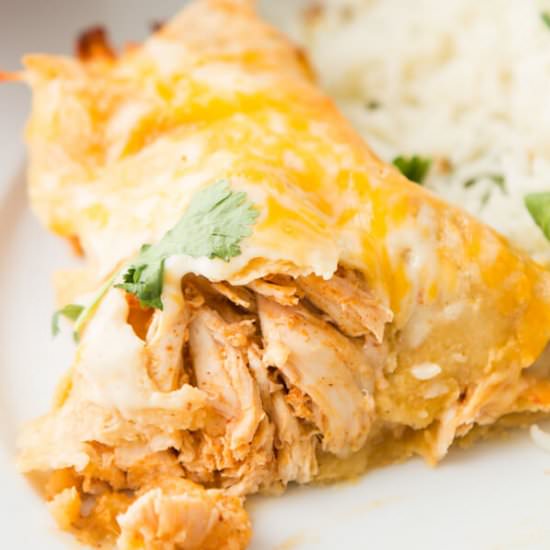 Honey Lime Chicken Enchiladas