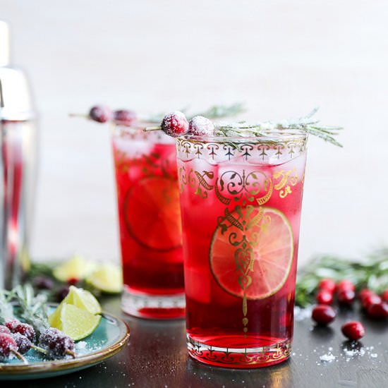Cranberry Gin Fizz Cocktail