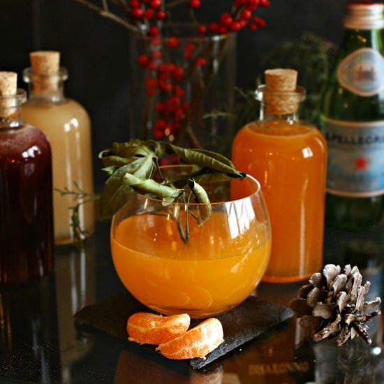 Satsuma Mandarin Shrub Martini