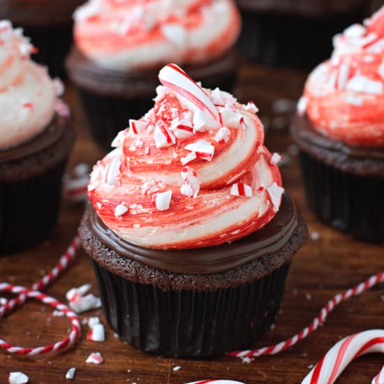 Chocolate Peppermint Cupcakes