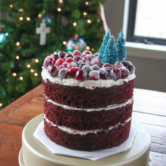 Mint Chocolate Cake – Gluten Free!