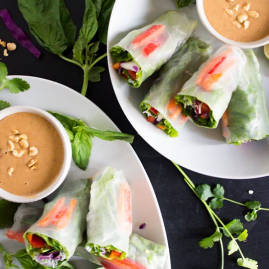 Vegan Salad Spring Rolls