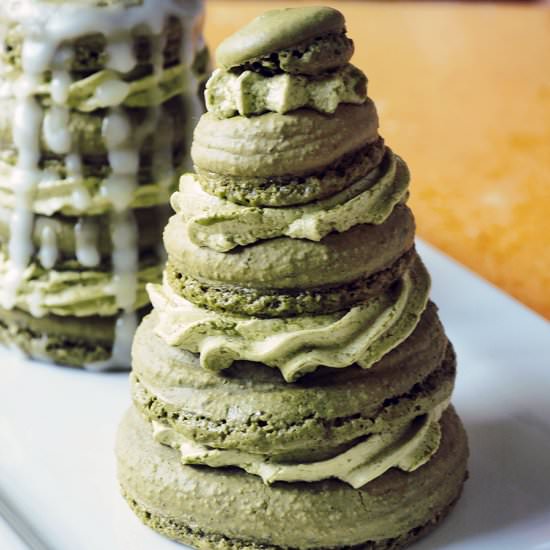 Christmas Tree French Macaron