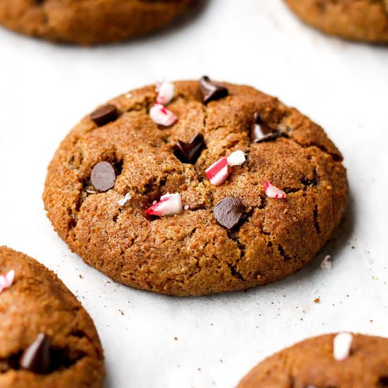 Soft Chocolate Chip Snickerdoodles