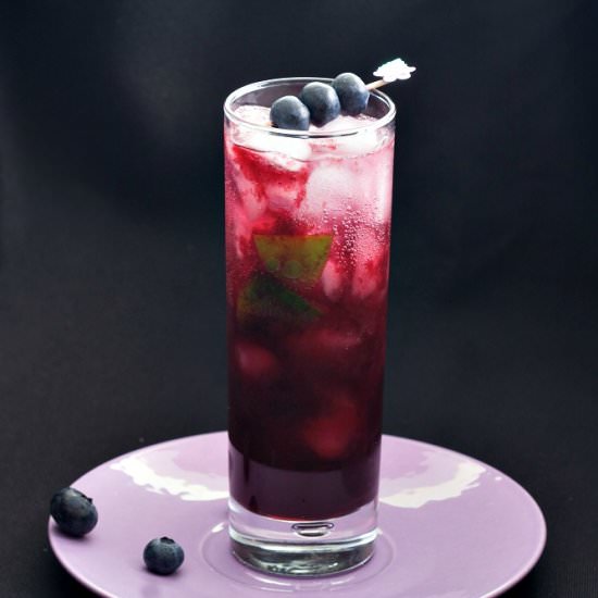 Blueberry Lavender Mojito