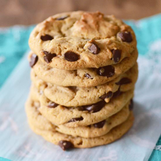 Peanut Butter Chocolate Chip Cookie
