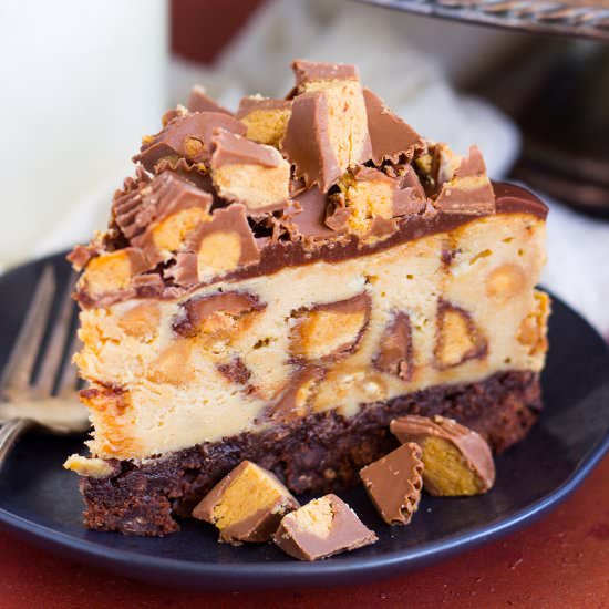 PB Cup Brownie Cheesecake