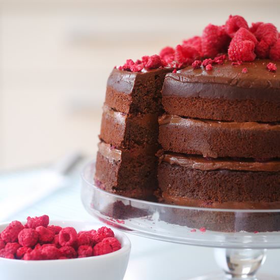 Chocolate Raspberry Cake (GF)