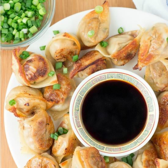 Beef Potsticker Wonton Dumplings