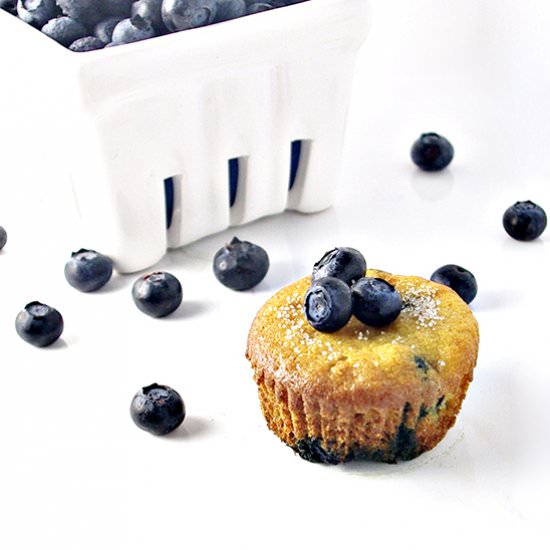 Paleo Blueberry Muffins