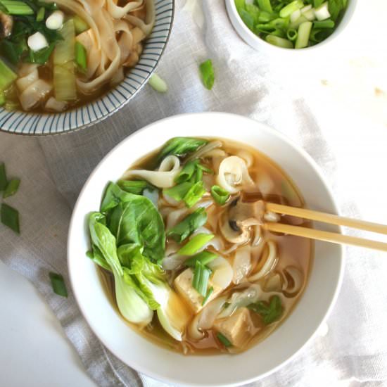 Asian Vegetable Noodle Soup