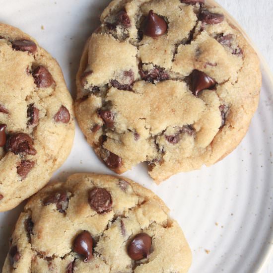 Favorite Chocolate Chip Cookies